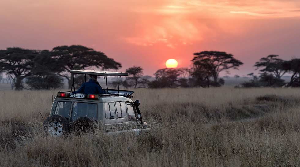 Northern Tanzania Safari – Serengeti, Ngorongoro & Kilimanjaro Experience (7 Days)