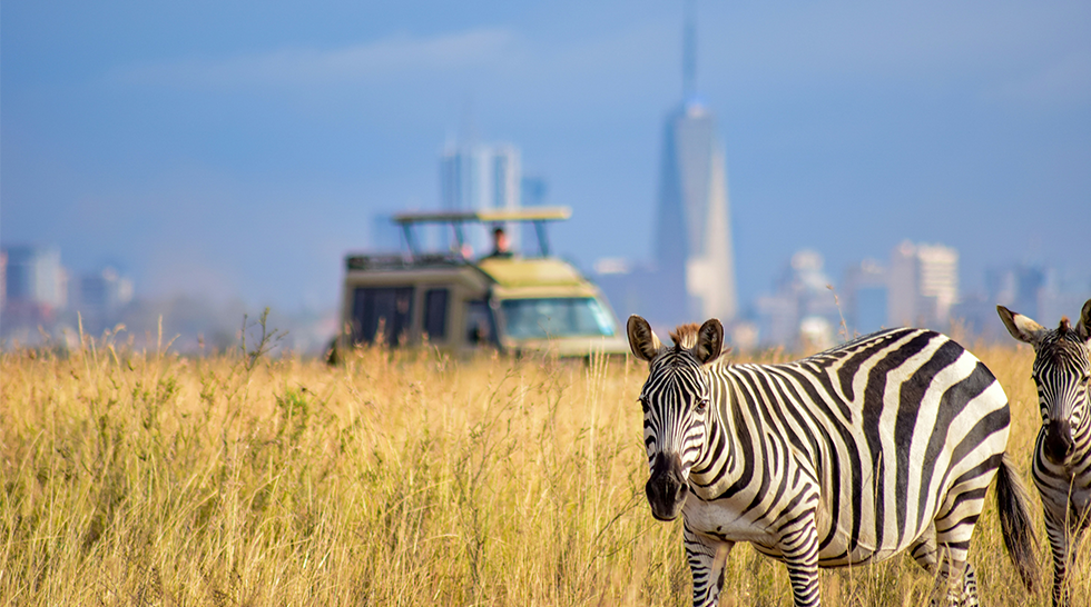 Nairobi National Park Day Safari – Wildlife Experience in the City